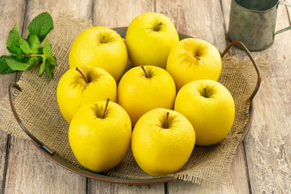 تصویر 1 از خرید و فروش سیب گلاب سفید با شرایط فوق العاده